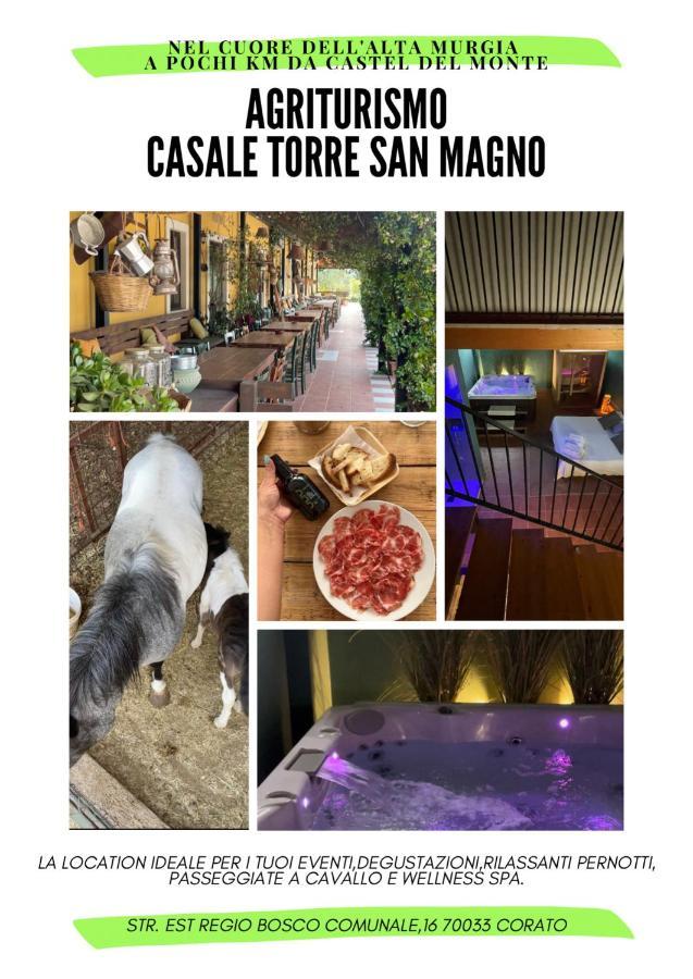 科拉托Casale Torre San Magno别墅 外观 照片